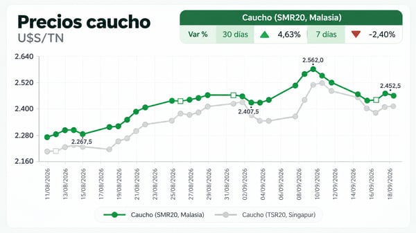 PRECIO CAUCHO
