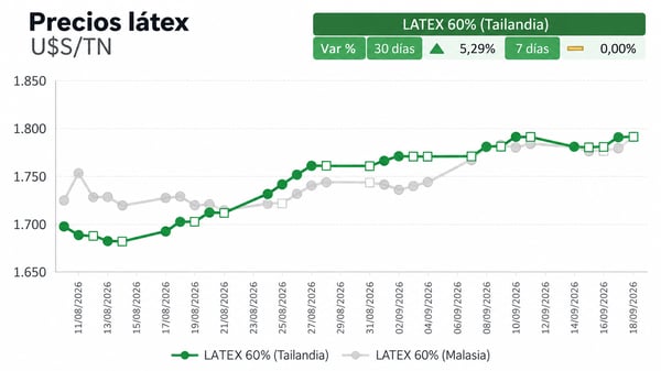 PRECIO LÁTEX