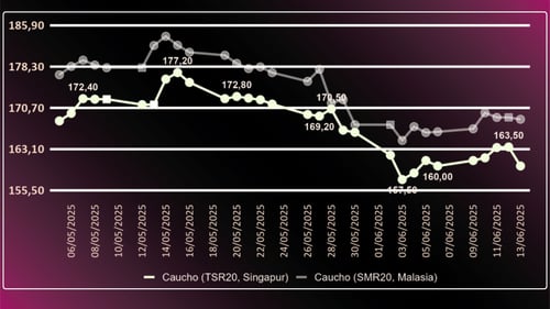 Diseño sin título (3)
