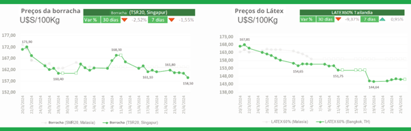 Futuro del Caucho Natural y el Látex Perspectivas para 2024 (48)